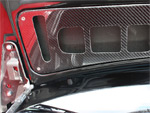 Carbon Fiber Lightweight Hood